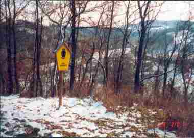 Das Naturschutzgebiet "Steinigt"