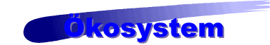 kosystem