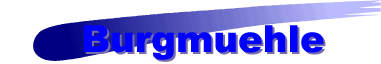 Burgmuehle